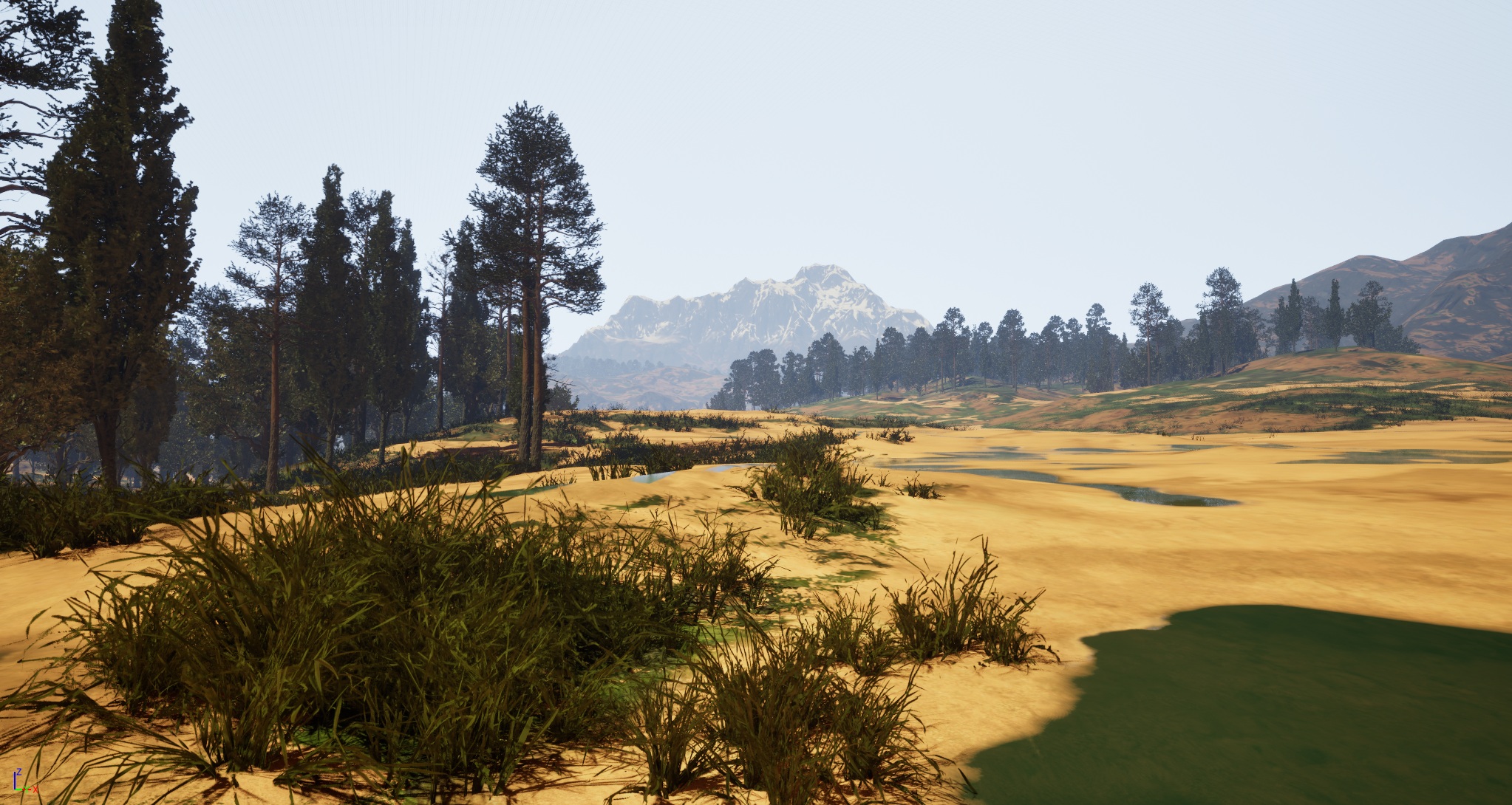 Landscape