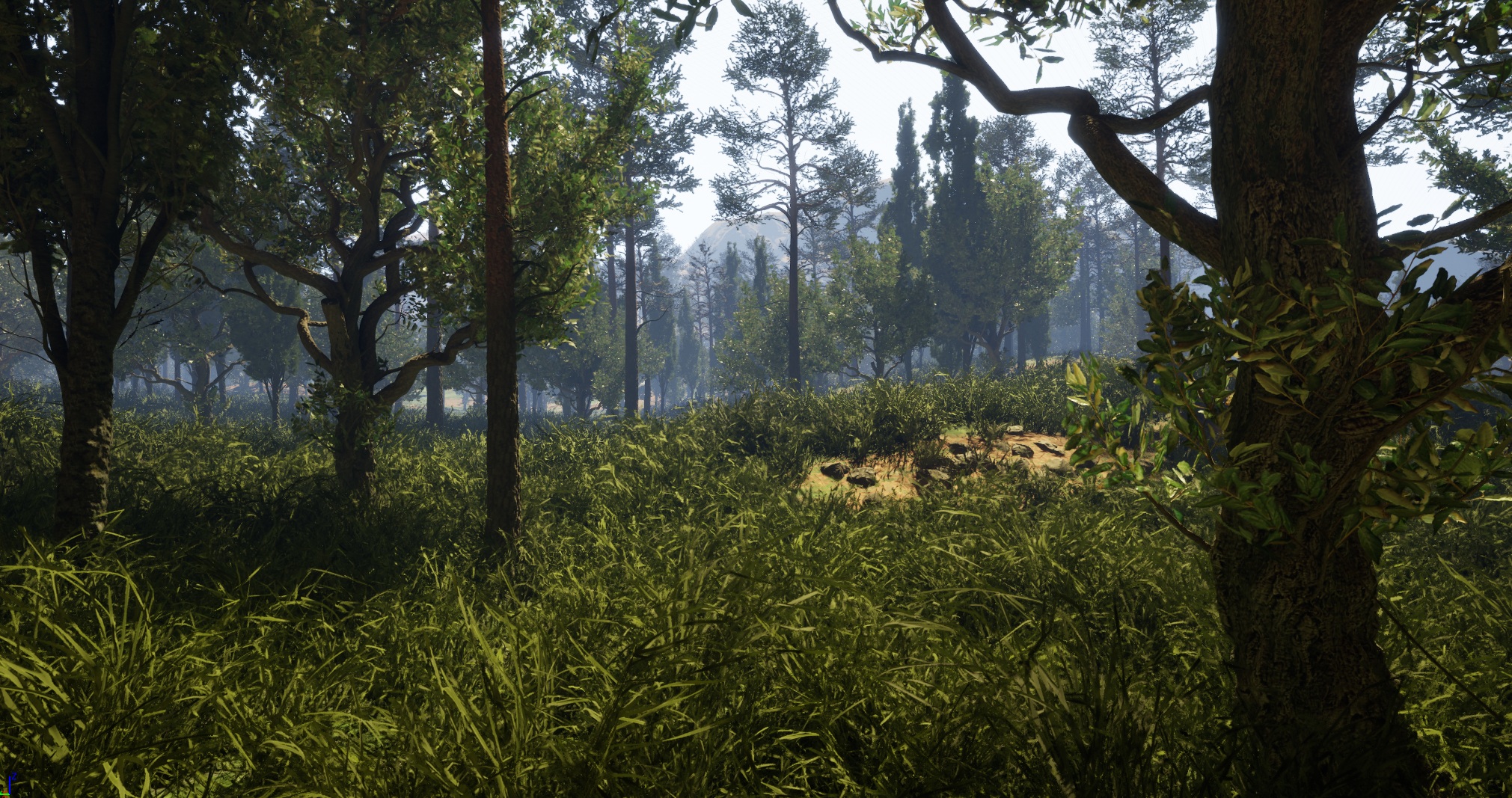 Landscape